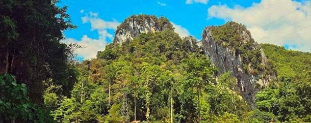hutan-c11d2e5e